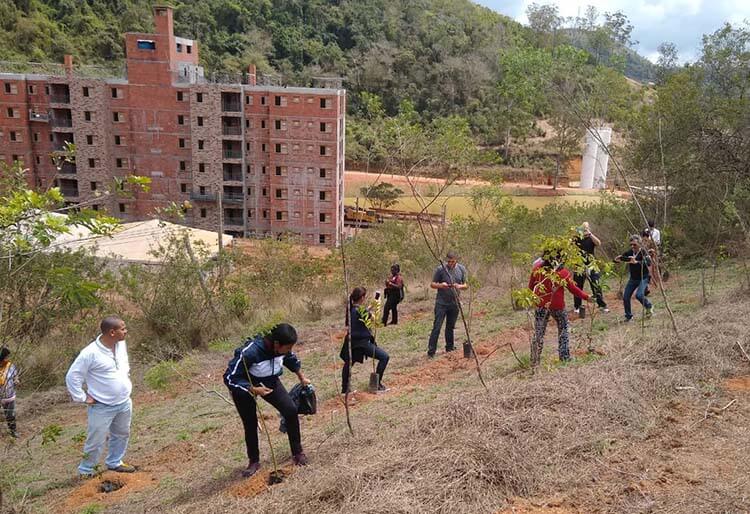 Construtora Riooito promove plantio de mudas de árvores em Itaipava