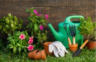 Paisagista do ator Bruno Gagliasso dá dicas de como cuidar de um jardim